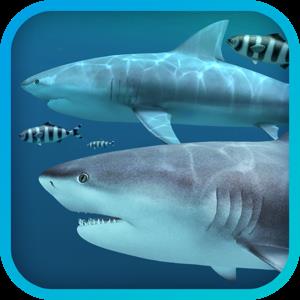 Sharks 3D 2.0.0 Multilingual macOS