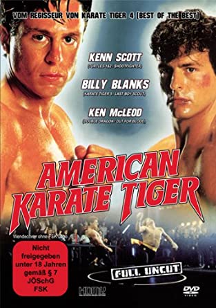 American Karate Tiger 1993 German DL 1080p BluRay x264 – THEORY