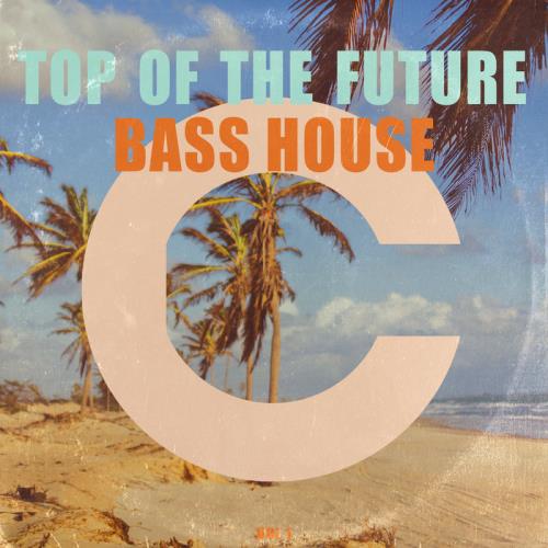 Top Of The Future Bass House Vol 1 (2020)