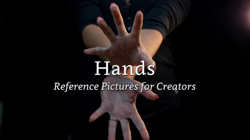 Gumroad - Hands - Reference Pictures for Creators by NoahRachel Bradley