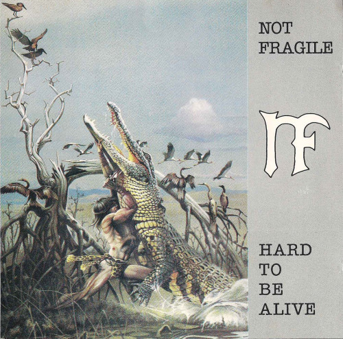Not Fragile - Hard To Be Alive (1992) [Japanese Edition] (Lossless)