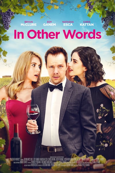 In Other Words 2020 HDRip XviD AC3-EVO