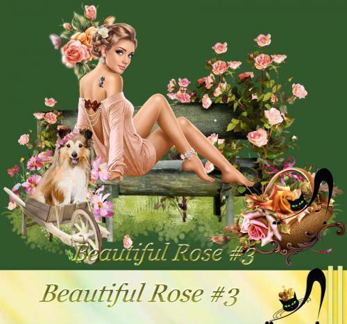 Beautiful Rose #3 (PNG)
