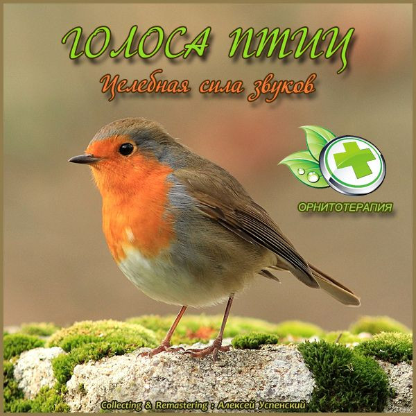 Звуки природы - Голоса птиц - Целебная сила звуков (2015) Mp3