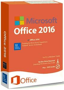 Microsoft Office 2016 Pro Plus 16.0.5056.1000 VL September 2020
