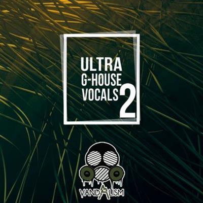 Vandalism Ultra G House Vocals 2 WAV