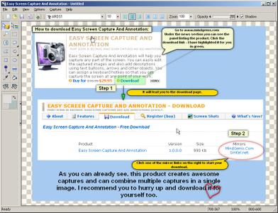 Easy Screen Capture And Annotation 3.0