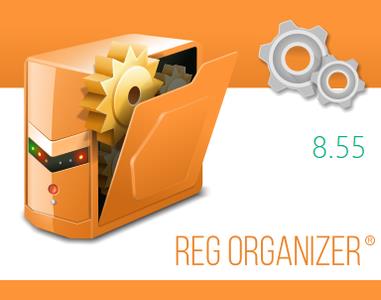 Reg Organizer 8.55 + Portable