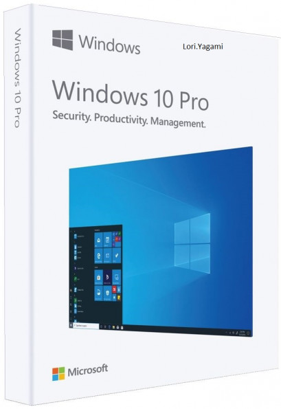 Windows 10 Pro 20H1 2004.10.0.19041.508 (x86-x64) Multilanguage Preactivated Sep 2020