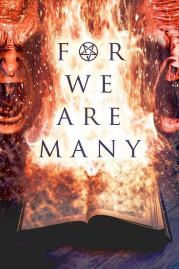 For We Are Many 2019 WEB-DL x264-FGT