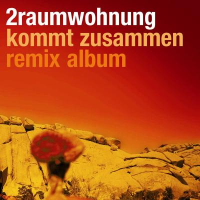 2Raumwohnung - Kommt zusammen Remix Album - (2002-01-28)