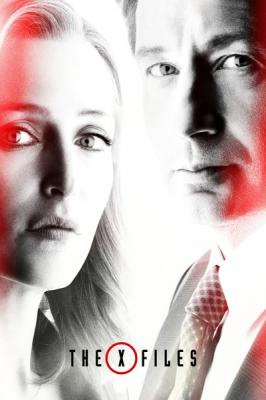 The X-Files S02E13 MULTi 1080p WEB H264-NERO