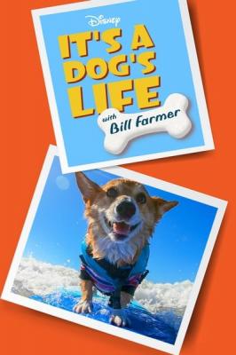 Its a Dogs Life With Bill Farmer S01E09 720p WEB H264-ASCENDANCE