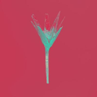  Samuca e a Selva; Terra Treme - Flores Raras (Terra Treme Remix)