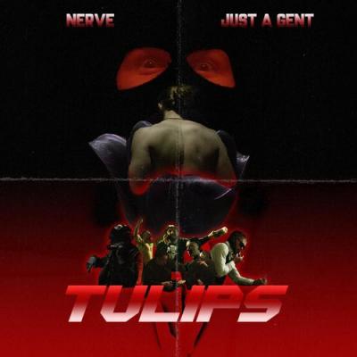  Nerve; Just a Gent - Tulips