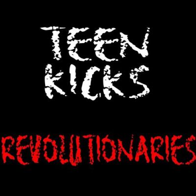  It's a Cover Up - Teen Kicks - Revolutionaries
