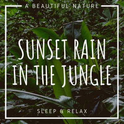  A Beautiful Nature - Sunset Rain In The Jungle  Sleep & Relax