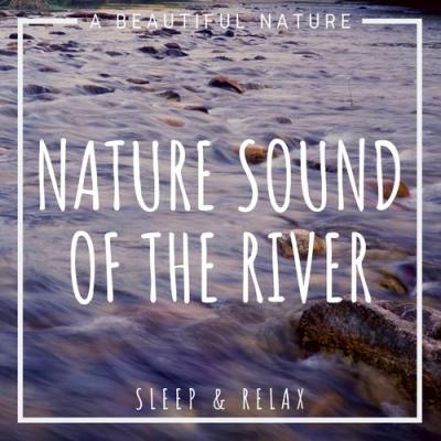  A Beautiful Nature - Nature Sound Of The River  Sleep & Relax