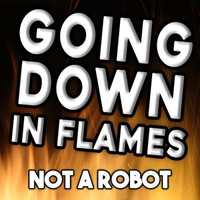  Not a Robot - Going Down in Flames