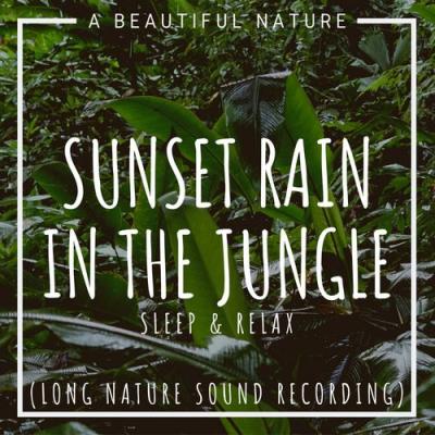  A Beautiful Nature - Sunset Rain In The Jungle  Sleep & Relax (Long Nature Sound Recording)