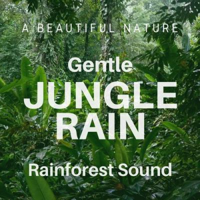  A Beautiful Nature - Gentle Jungle Rain (Rainforest Sound)