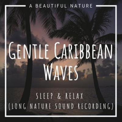  A Beautiful Nature - Gentle Caribbean Waves  Sleep & Relax (Long Nature Sound Recording)