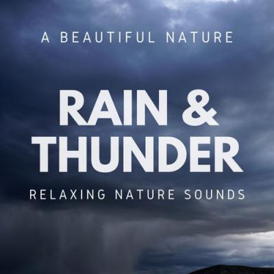  A Beautiful Nature - Rain & Thunder  Relaxing Nature Sounds