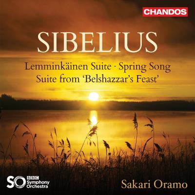 VA - Sibelius  Orchestral Works