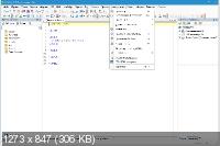 Blumentals HTMLPad / Rapid CSS / Rapid PHP / WeBuilder 2020 16.2.0.229