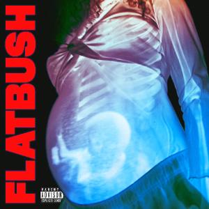 Flatbush Zombies - Afterlife [Single] (2020)