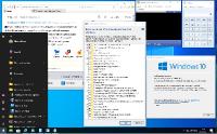Windows 10 Pro 19042.487 20H2 Pre Release BIZ by Lopatkin (x86-x64)