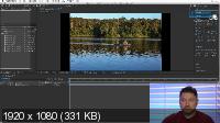 Adobe After Effects  :   (2020) -