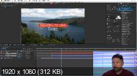 Adobe After Effects  :   (2020) -